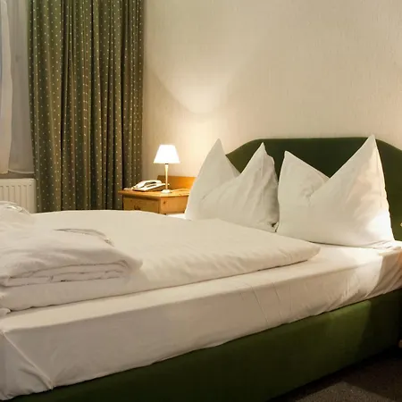 Aktivhotel Weisser Hirsch 4*