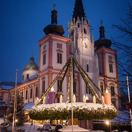 Отель Aktivhotel Weisser Hirsch