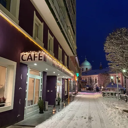 Отель Aktivhotel Weisser Hirsch