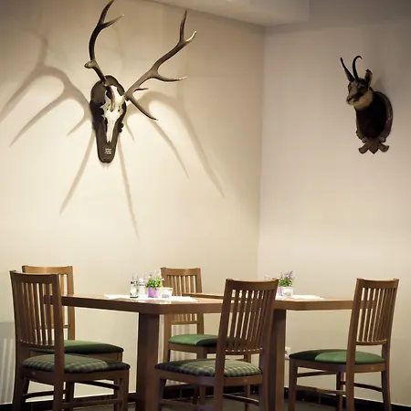 Aktivhotel Weisser Hirsch Hotel 4*