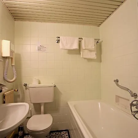 Aktivhotel Weisser Hirsch فندق