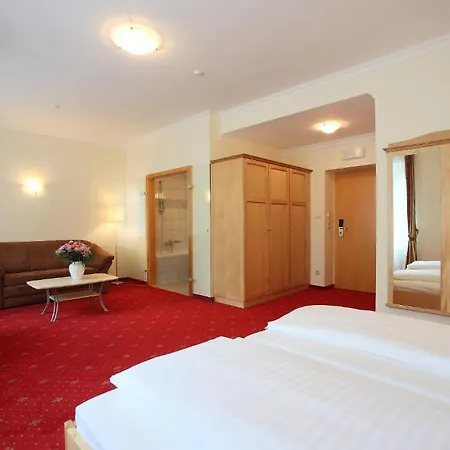Hotel Aktivhotel Weisser Hirsch 4*