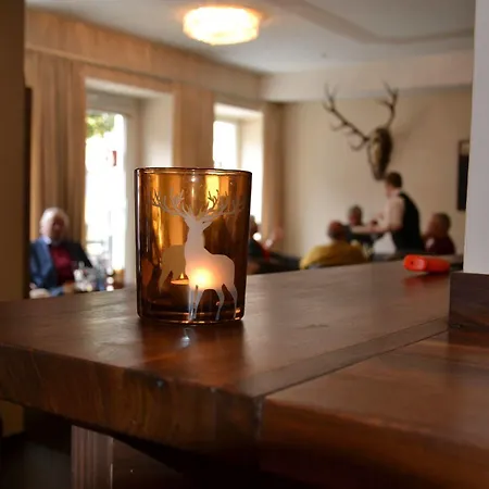 Aktivhotel Weisser Hirsch Hotel Mariazell