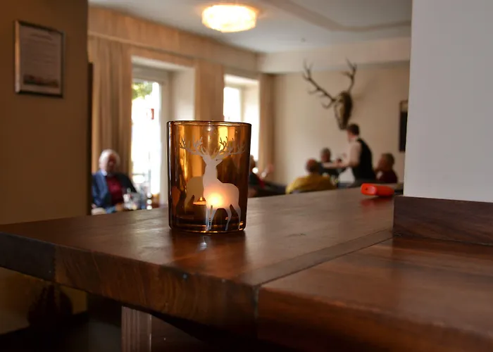 酒店 Aktivhotel Weisser Hirsch