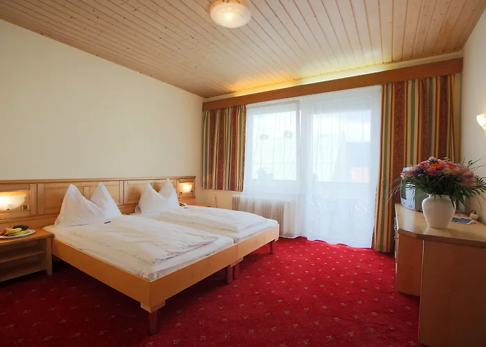 酒店 Aktivhotel Weisser Hirsch