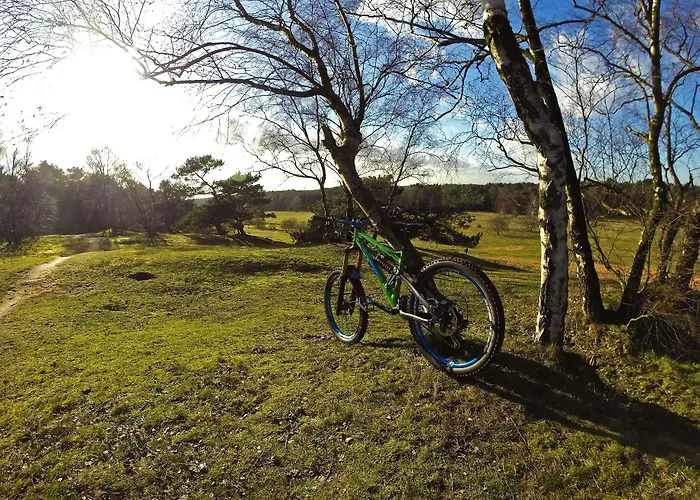 酒店 Aktivhotel Weisser Hirsch 4*