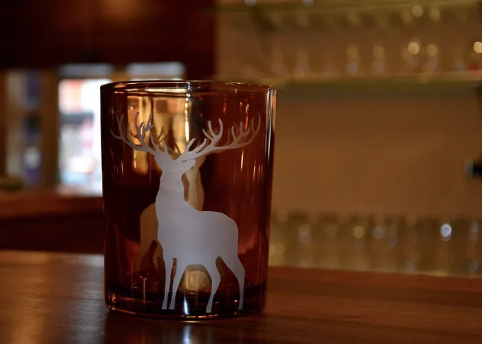 酒店 Aktivhotel Weisser Hirsch 玛利亚采尔