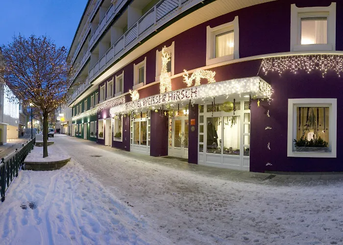 Aktivhotel Weisser Hirsch 酒店 玛利亚采尔