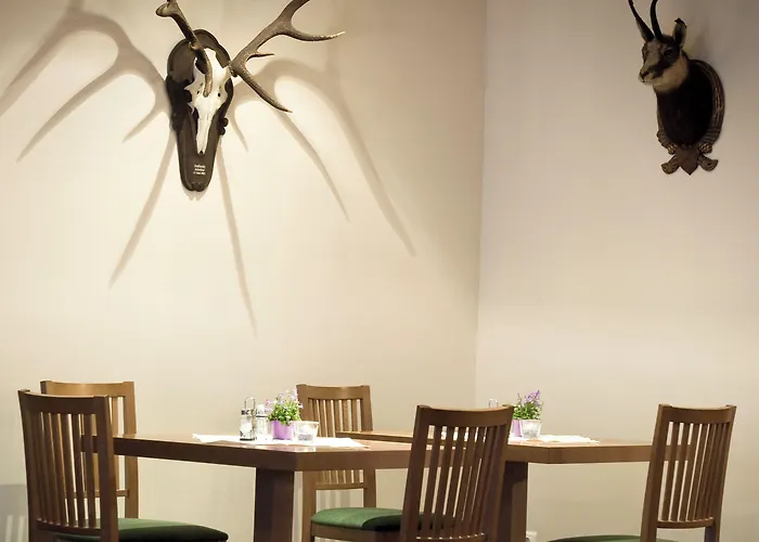 Aktivhotel Weisser Hirsch Szálloda 4*