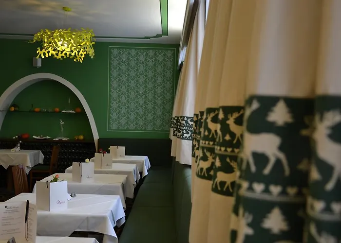 Aktivhotel Weisser Hirsch 4*